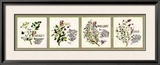 Buy Kitchen Herbs II at AllPosters.com