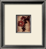 Petunia Study III