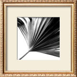 Buy Black and White Palms II at AllPosters.com