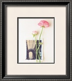 Buy Peony, Euro-Floral at AllPosters.com