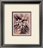 Roma Lilies