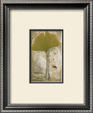 Buy Kyoto Leaves II at AllPosters.com