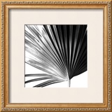 Buy Black and White Palms IV at AllPosters.com