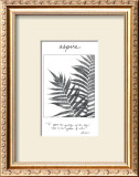 Buy Aspire at AllPosters.com