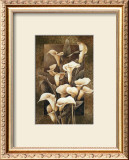 Buy Golden Calla Lilies at AllPosters.com