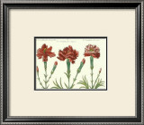 Buy Floral Plate XVIII at AllPosters.com