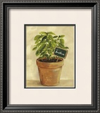 Buy Basilcum at AllPosters.com