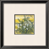 Buy White Orchids at AllPosters.com