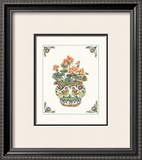 Buy Geraniums at AllPosters.com
