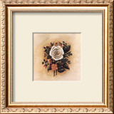 Buy Antique Rose I at AllPosters.com
