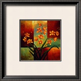 Orange Orchid