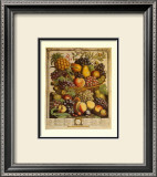 Buy Fruits of the Season, Winter at AllPosters.com