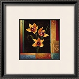 Yellow Orchids