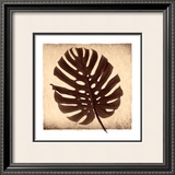 Buy Monstera II at AllPosters.com