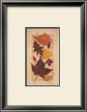Buy Autumn Harvest I at AllPosters.com
