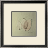 Buy Trio of Skelton Leaves at AllPosters.com