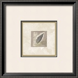 Elm Leaf