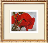 Buy The Red Poppy at AllPosters.com