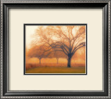 Buy Memory of Trees at AllPosters.com