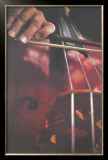 Cello