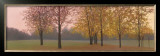 Buy Autumn Dawn, Maples at AllPosters.com