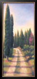 Tuscan Road I