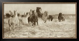 Buy Horses Bathing at AllPosters.com