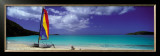 Buy Shell Beach, Antigua at AllPosters.com