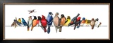 Large Bird Menagerie