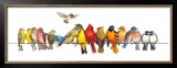 Large Bird Menagerie