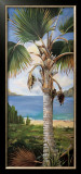 Buy Fan Palm at AllPosters.com