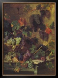 Harvest in Tuscany