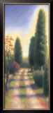 Tuscan Road II