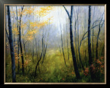 Buy Woodland Mist at AllPosters.com