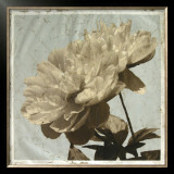 Antiqued Floral and Sky I