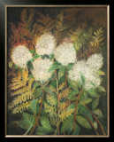 Buy Hydrangeas and Ferns at AllPosters.com