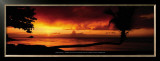 Buy Tropical Beach at Sunset with Leaning Palm, Caribbean at AllPosters.com