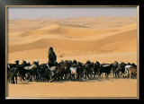 Buy Touareg, Niger at AllPosters.com