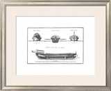 Buy Palmi Napoletanis at AllPosters.com