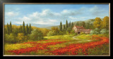 Tuscan Beauty II