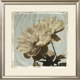 Antiqued Floral and Sky I