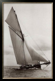 Buy Irex at AllPosters.com
