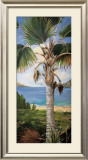 Buy Fan Palm at AllPosters.com
