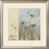 Delicate Fields I