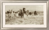 Buy Horses Bathing at AllPosters.com