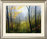 Buy Woodland Mist at AllPosters.com