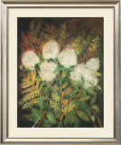 Buy Hydrangeas and Ferns at AllPosters.com