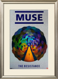 Muse