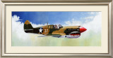Buy P-40E Warhawk at AllPosters.com