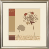 Botanical Shadows I